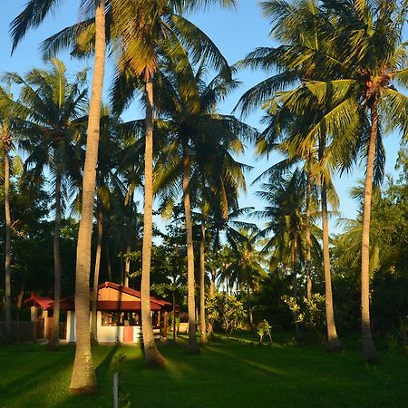 Amigos Bungalows Gili Meno Exteriör bild