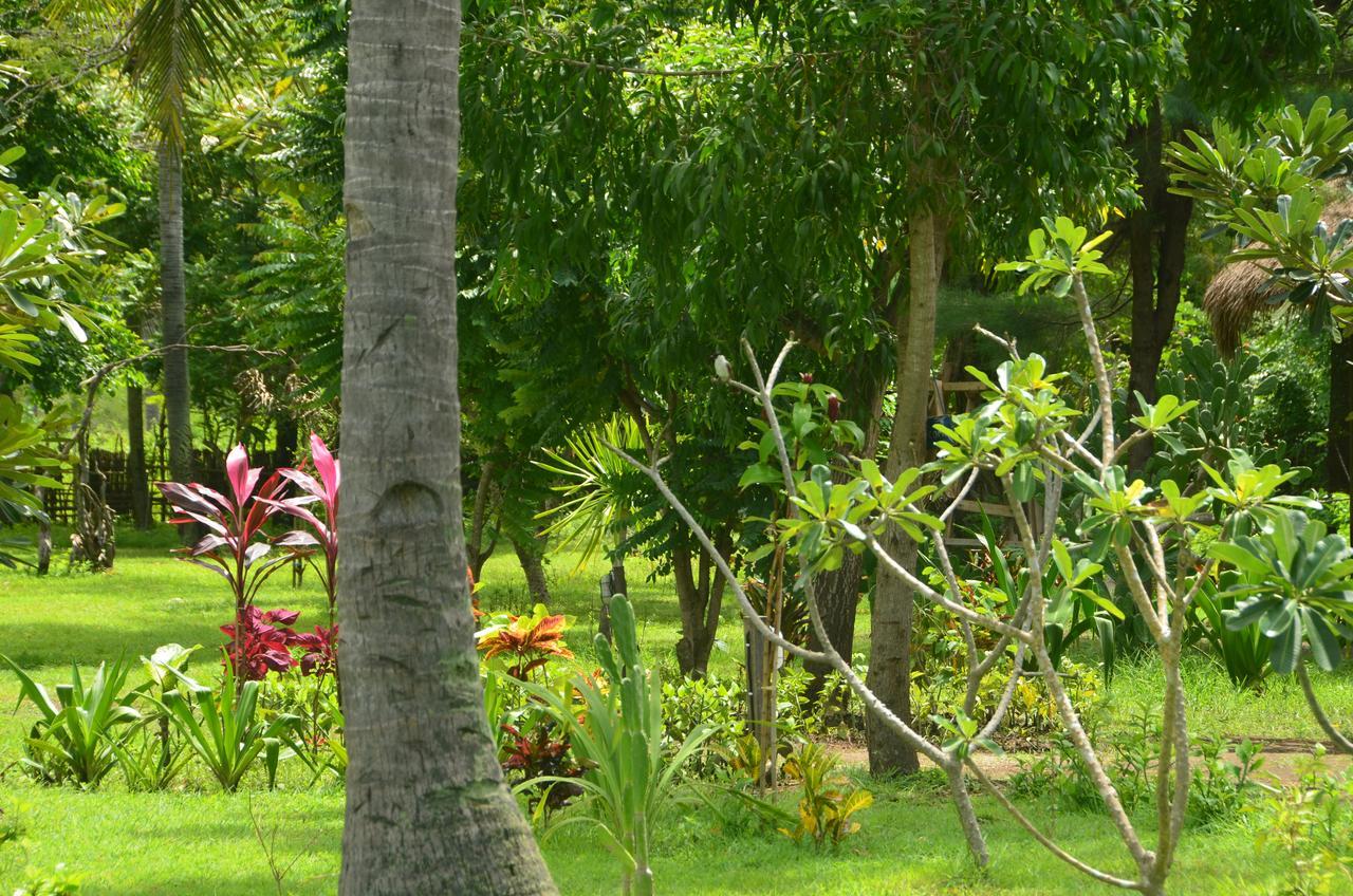 Amigos Bungalows Gili Meno Exteriör bild