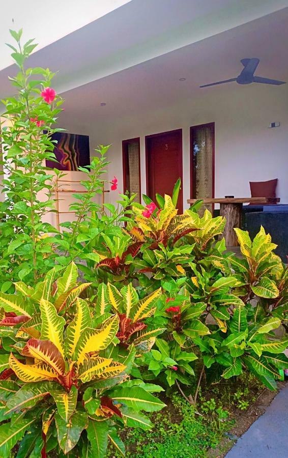 Amigos Bungalows Gili Meno Exteriör bild